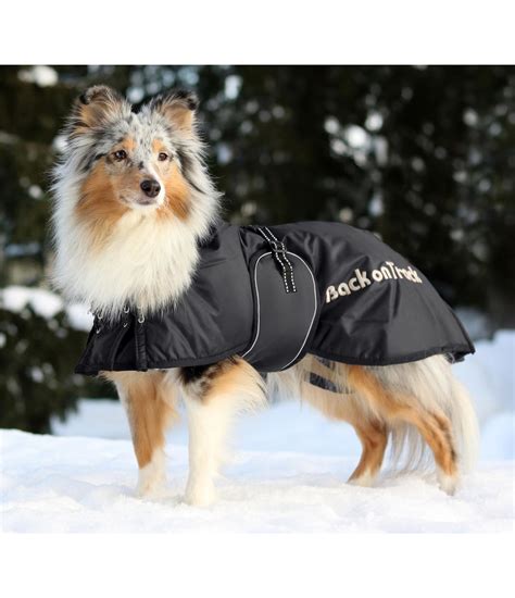 manteau chien chanel|Manteaux .